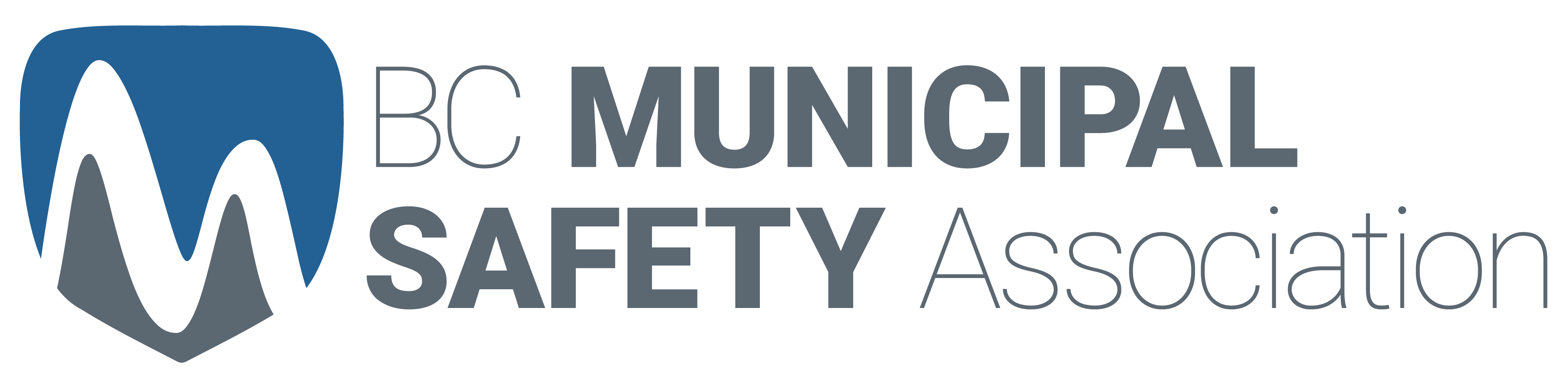 BCMSA Logo